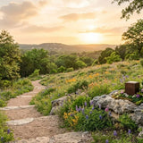 Eco-Friendly Cremation in Austin