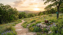 Eco-Friendly Cremation in Austin