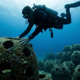 Eternal Reefs: Turning Ashes into Ocean Memorials
