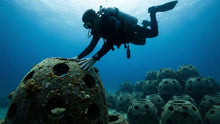 Eternal Reefs: Turning Ashes into Ocean Memorials