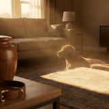 Finding Comfort in Pet Loss: Spiritual Signs and Memorial Choices
