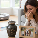 Gentle Guidance After Pet Loss