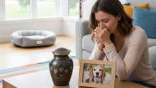 Gentle Guidance After Pet Loss