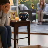 Gentle Guide to Pet Funerals & Memorials