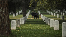 Guide to Choosing Cemetery Plots & Memorials