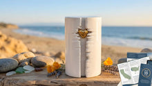 Guide to Cremation Costs in California