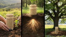 Guide to Living Urns and Memorial Cremation Options