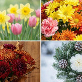 Guide to Long-Lasting Funeral Flowers & Memorial Products