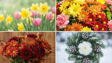 Guide to Long-Lasting Funeral Flowers & Memorial Products