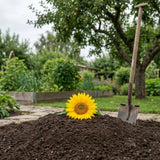 How to Bury a Dog at Home: Legal and Safe Farewells