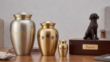 How to Choose the Right Pet Urn Size: A Compassionate Guide for Families