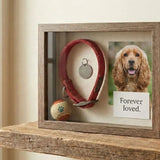 How to Create a Meaningful Pet Memorial Shadow Box