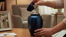 How to Transfer Pet Ashes Into an Urn: A Gentle, Step-by-Step Guide