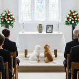 Including Pets at Funerals: Comfort, Considerations, and Creative Tributes