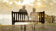 Memorial Bench Dedication Guide