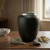 New Jersey Cremation Costs by City: Average Prices & Local Providers