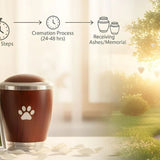 Pet Cremation Guide: Options & Memorials