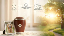 Pet Cremation Guide: Options & Memorials