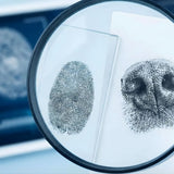 Pet Nose Prints & Memorial Keepsakes: Preserving Unique Memories