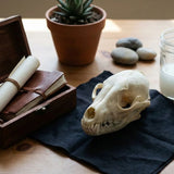 Pet Skull Memorials: Legal, Ethical & Safe Options