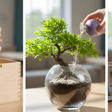 Safe and Creative Alternatives to Traditional Urns