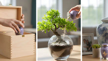 Safe and Creative Alternatives to Traditional Urns