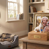 Saying Goodbye with Love: How to Bury a Dog Respectfully and Create a Meaningful Memorial at Home