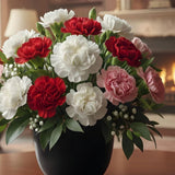 The Meaning of Carnations in Funeral Tributes