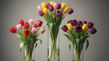 Tulip Color Meanings & Memorial Choices
