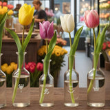 Tulip Symbolism and Memorial Gifts