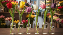 Tulip Symbolism and Memorial Gifts