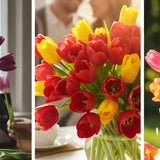 Tulip Symbolism & Cremation Choices