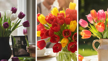 Tulip Symbolism & Cremation Choices