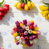 Tulip Symbolism & Cremation Memorials Guide