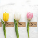 Tulip Symbolism, Sympathy Flowers, and Modern Memorial Choices