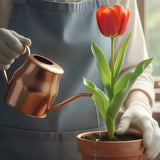 Tulips as Symbols of Love, Renewal, and Remembrance