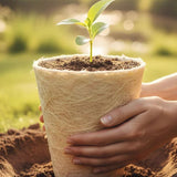 Understanding Biodegradable Urns: Sustainable Memorials
