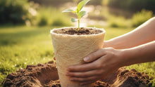 Understanding Biodegradable Urns: Sustainable Memorials