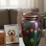 Understanding Pet Cremation Options & Memorial Choices