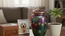 Understanding Pet Cremation Options & Memorial Choices