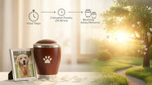 Understanding the Pet Cremation Process: Options, Costs, and Memorials