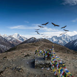 Understanding Tibetan Sky Burial: A Sacred Tradition