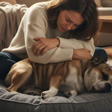 What to Do When Your Pet Dies at Home