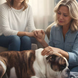 What to Say—and Not Say—When a Friend Faces Pet Euthanasia