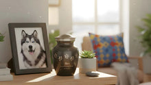 Where to Keep a Pet Urn at Home: Calm, Safe Memorial Ideas
