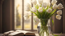 White Tulip Meaning and Gentle Memorial Guidance