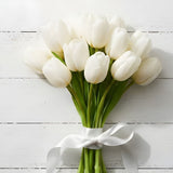 White Tulip Meaning & Modern Memorial Choices
