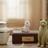 Guide to Choosing the Perfect Pet Urn