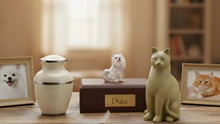 Guide to Choosing the Perfect Pet Urn