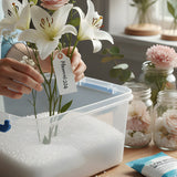 Preserving Funeral Flowers With Silica Gel: Drying Steps, Timing, and Common Mistakes - Funeral.com, Inc.